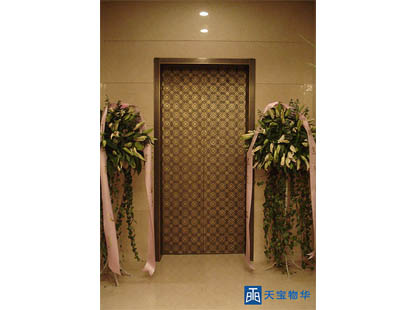 實板藝術(shù)銅門 (5)